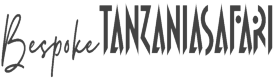 Bespoke Tanzania Safari